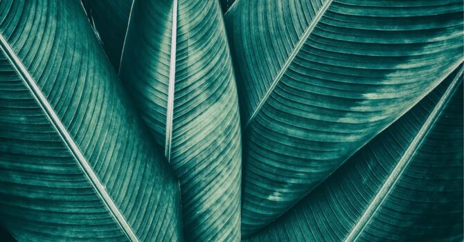 Hot Stone Massage Therapy